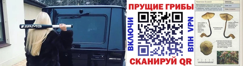 Галлюциногенные грибы MAGIC MUSHROOMS  Керчь 