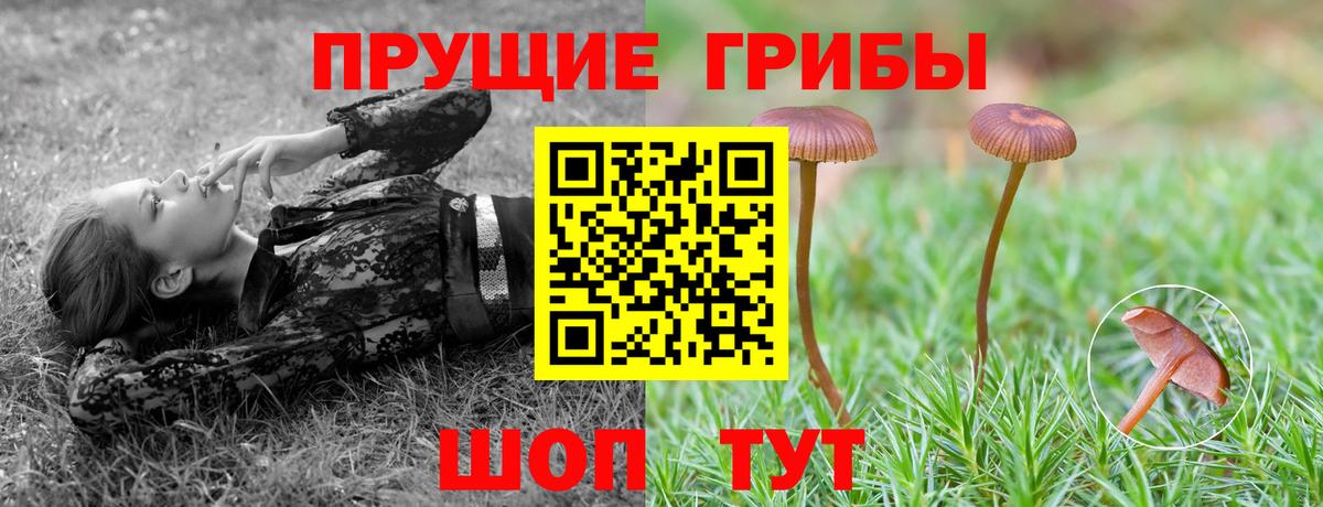Псилоцибиновые грибы ЛСД Керчь