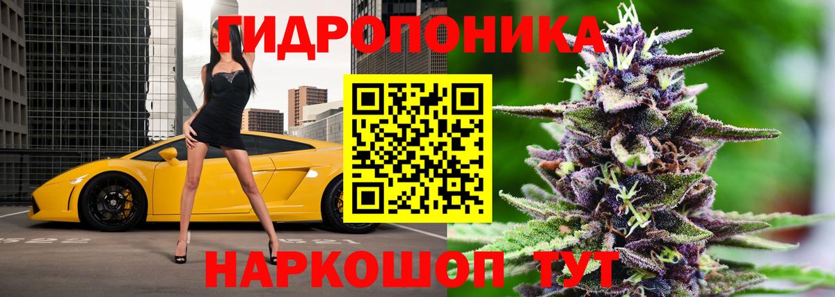 Бошки марихуана план  Вход с VPN  МАРИХУАНА LSD WEED  Канабис сатива  Керчь 